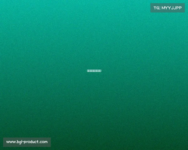 上海赛事志愿者官网